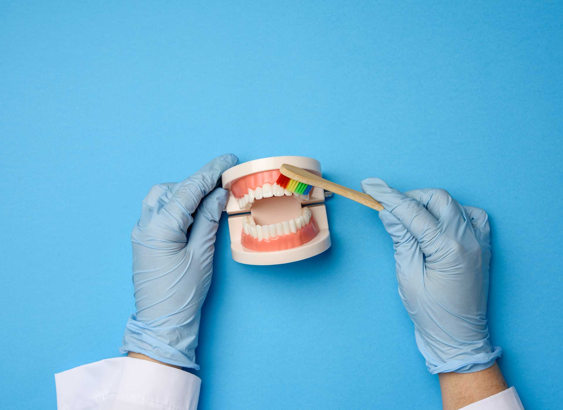 dental-hygiene-with-model-teeth-and-toothbrush-2026-09-24-09-33-10-utc_1920 Dental2Ju Vorsorgeuntersuchung