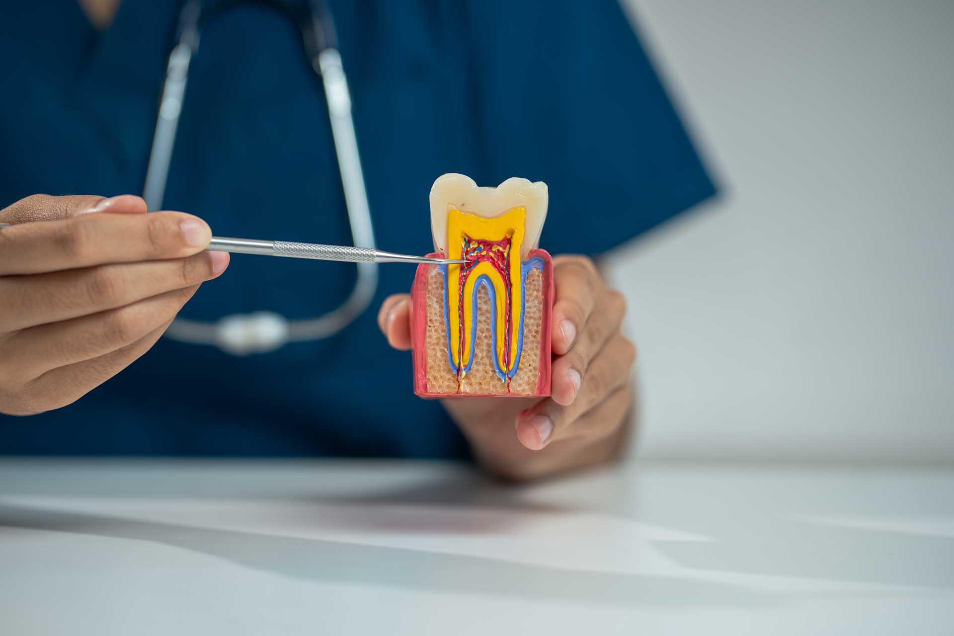 Dental2Ju Wurzelkanalbehandlung Dresden